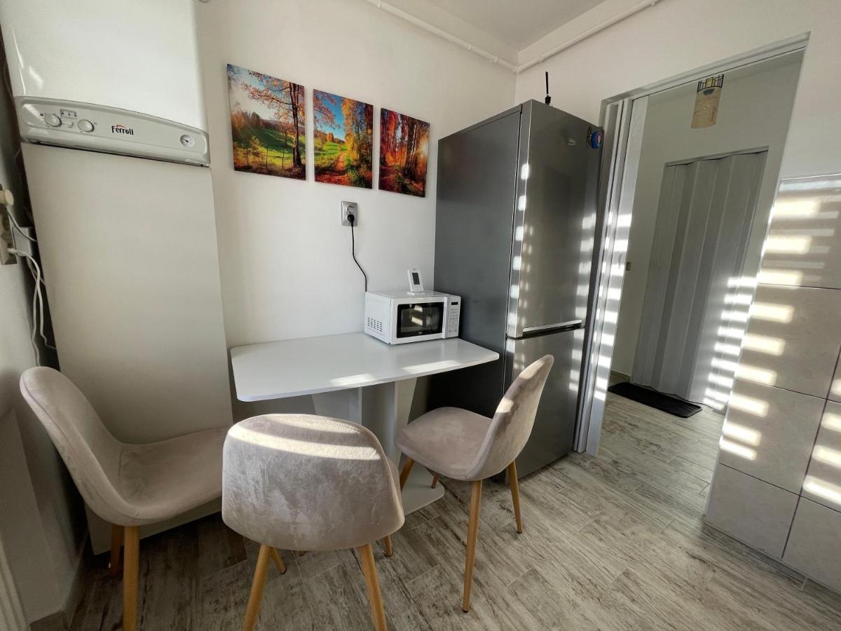 Tei Apartment - Lucian Blaga Satu Mare Exterior photo