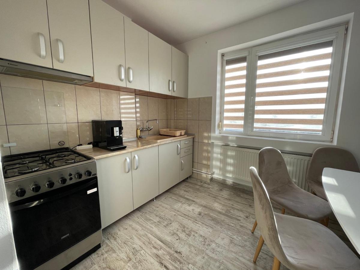 Tei Apartment - Lucian Blaga Satu Mare Exterior photo